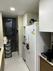 The Miltonia Residences (D27), Condominium #482835671